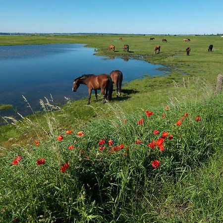 Ostsee Residenz Meeresblick Bellevue Insel Poel Ngoại thất bức ảnh