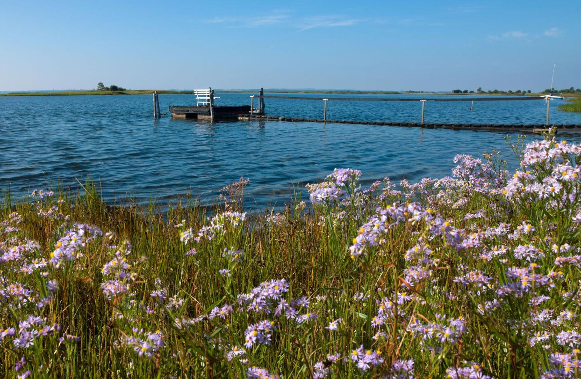 Ostsee Residenz Meeresblick Bellevue Insel Poel Ngoại thất bức ảnh