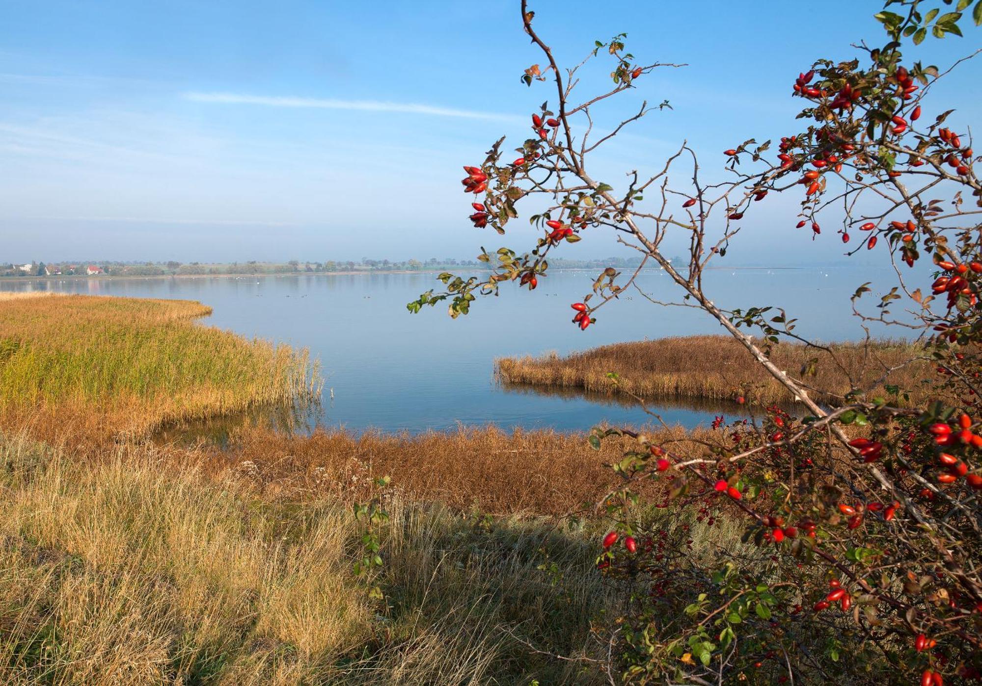 Ostsee Residenz Meeresblick Bellevue Insel Poel Ngoại thất bức ảnh